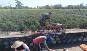 Hadir Di Tengah Masyarakat, Serda Dedy Kurniawan Turut Bangun Saluran Irigasi