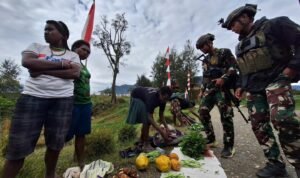 Satgas Yonif 509 Kostrad Bantu Borong Hasil Tani Sebagai Wujud Keakraban dengan Masyarakat Papua