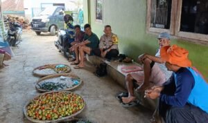 Humanis, Polsek Cipaku Polres Ciamis Koorkom Kamtibmas Hadapi Pilkada Serentak ke Warga Jalatrang