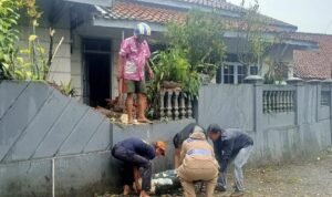 Personel Polsek Cikoneng Datangi TKP Bencana Pohon Tumbang Melintasi Jalan Personel Polsek Cikoneng Datangi TKP Bencana Pohon Tumbang Melintasi Jalan