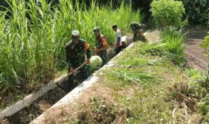 Babinsa Koramil 0808/02 Garum Bersama Warga Kelurahan Sumberdiren, Kerja Bakti Membersihkan Parit