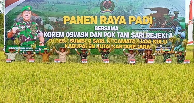 Panen Raya Padi, Danrem 091/ASN Bersama Petani