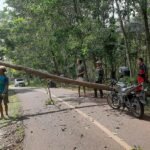 Personel Polsek Sukadana Datangi TKP Bencana Pohon Tumbang Melintasi Jalan Raya Cisena