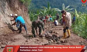 Babinsa Koramil 1424-06/Sinjai Borong Gelar Karya Bakti Perbaikan Jalan Tani