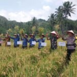 Polsek Cimaragas Polres Ciamis Monitoring Pertanian ke Warga di Kecmaatan Cidolog