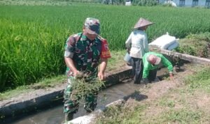 Penuhi Kebutuhan Air Petani, Babinsa Bersama Warga Bersihkan Saluran IrigasiPenuhi Kebutuhan Air Petani, Babinsa Bersama Warga Bersihkan Saluran Irigasi