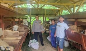 Dukung Program Asta Cita Polsek Ciamis Polres Ciamis Datangi Peternak Domba di Gunung Sari