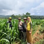 Dukung Program Asta Cita  Polsek Cipaku Polres Ciamis Datangi Poktan Manfaatkan Lahan Kering