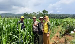 Dukung Program Asta Cita  Polsek Cipaku Polres Ciamis Datangi Poktan Manfaatkan Lahan Kering