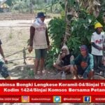 Babinsa Bongki Lengkese Koramil-04/Sinjai Timur Kodim 1424/Sinjai Laksanakan Komsos Bersama Petani
