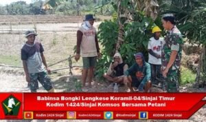 Babinsa Bongki Lengkese Koramil-04/Sinjai Timur Kodim 1424/Sinjai Laksanakan Komsos Bersama Petani