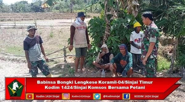 Babinsa Bongki Lengkese Koramil-04/Sinjai Timur Kodim 1424/Sinjai Laksanakan Komsos Bersama Petani