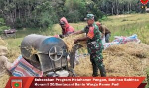 Sukseskan Program Ketahanan Pangan Babinsa Babinsa Koramil 20/Bontocani Bantu Warga Panen Padi Sukseskan Program Ketahanan Pangan Babinsa Babinsa Koramil 20/Bontocani Bantu Warga Panen Padi