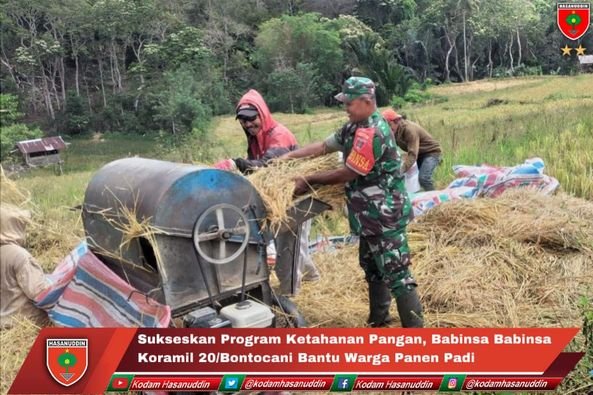 Sukseskan Program Ketahanan Pangan Babinsa Babinsa Koramil 20/Bontocani Bantu Warga Panen Padi