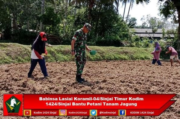 Babinsa Lasiai Koramil-04/Sinjai Timur Bantu Petani Tanam Jagung untuk Dukung Ketahanan Pangan