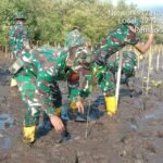 Koramil 1615-02/Pringgabaya Gelar Gerakan Penanaman 100.000 Bibit Mangrove