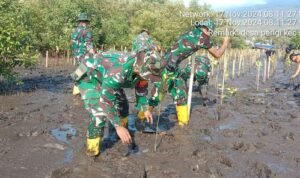 Koramil 1615-02/Pringgabaya Gelar Gerakan Penanaman 100.000 Bibit Mangrove