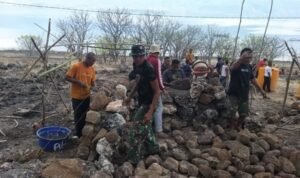 Tanamkan Jiwa Gotong Royong Babinsa Koramil 05/Solor Bantu Pembangunan Rumah Masyarakat. Tanamkan Jiwa Gotong Royong Babinsa Koramil 05/Solor Bantu Pembangunan Rumah Masyarakat.