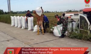 Wujudkan Ketahanan Pangan Babinsa Koramil-02 Bantu Petani Panen Padi