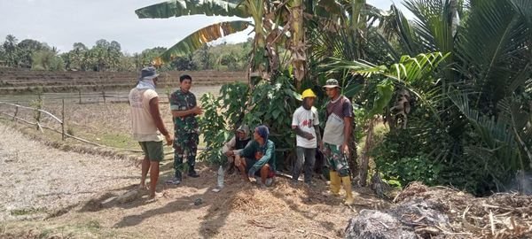 Babinsa Bongki Lengkese Koramil-04/Sinjai Timur Kodim 1424/Sinjai Laksanakan Komsos Bersama Petani