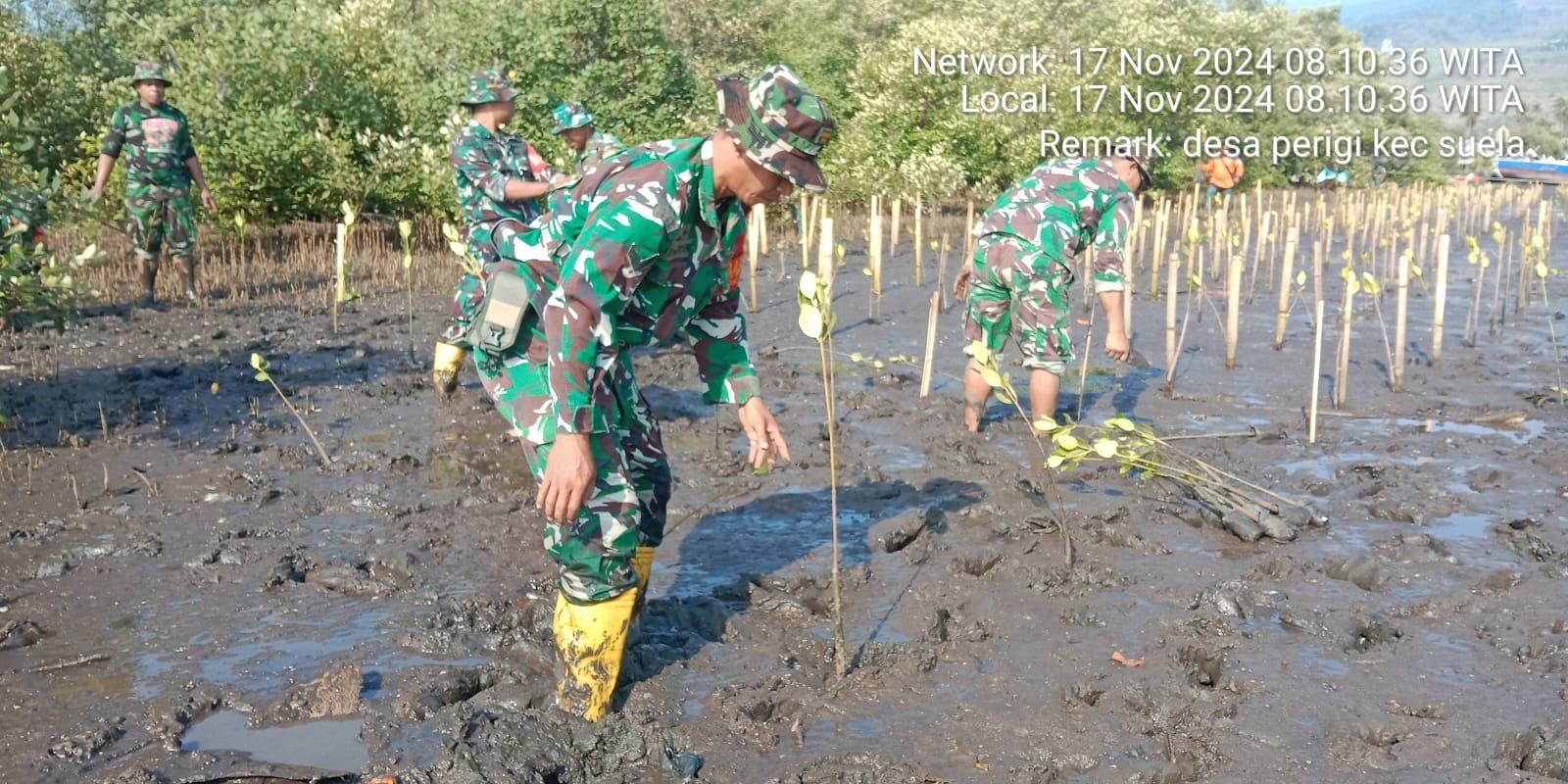 Koramil 1615-02/Pringgabaya Gelar Gerakan Penanaman 100.000 Bibit Mangrove
