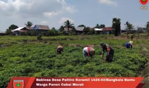 75ED1863-285E-4FB4-8EF4-F55A31E10CB7