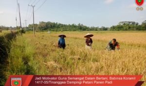 BDB9CA22-1150-4116-8B58-9CD2839684BB