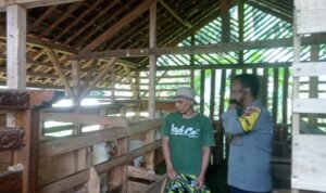 Dukung Asta Cita Presiden RI Polsek Sukadana Ajak Peternak Domba Jaga HanPangan