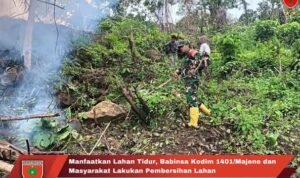 Manfaatkan Lahan Tidur Babinsa Kodim 1401/Majene dan Masyarakat Lakukan Pembersihan Lahan