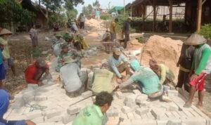 Babinsa Botoreco Gotong Royong Bersama Warga Binaan Pasang Paving Jalan