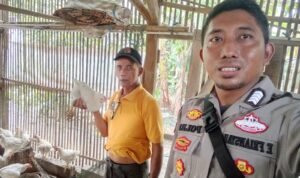 Dukung Asta Cita Presiden RI Polsek Lakbok Ajak Peternak Ayam Tambakreja Jaga HanPangan