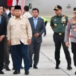 Panglima TNI Sambut Kedatangan Presiden RI Setelah Kunjungan Kerja di Mesir dan Ikuti Rapat Terbatas Dengan Presiden