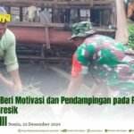 Babinsa Beri Motivasi Dan Pendampingan Pada Peternak Domba Gersik