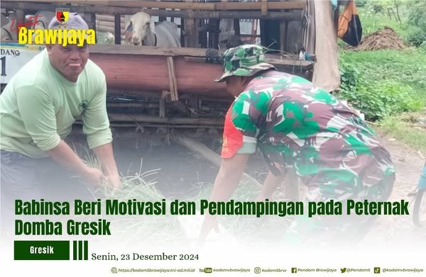 Babinsa Beri Motivasi Dan Pendampingan Pada Peternak Domba Gersik