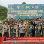 Dukung Program Asta Presiden Prabowo Subianto Kodim 1403/Palopo Manfaat Lahan Kosong Menjadi Ketahanan Pangan