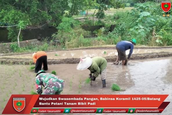 Wujudkan Swasembada Pangan Babinsa Koramil 1425-05/Batang Bantu Petani Tanam Bibit Padi