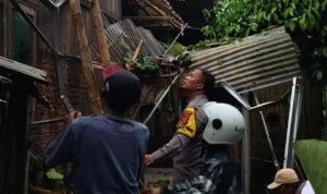 Personel Polsek Rajadesa Datangi TKP Pohon Tumbang Menimpa Rumah di Tanjungsari