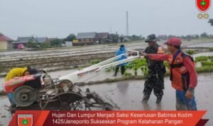 Hujan Dan Lumpur Menjadi Saksi Keseriusan Babinsa Kodim 1425/Jeneponto Sukseskan Program Ketahanan Pangan