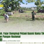 SERDA MOH. FAJAR DAMPINGI PETANI BASMI HAMA TIKUS DEMI KETAHANAN PANGAN NASIONAL