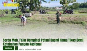 SERDA MOH. FAJAR DAMPINGI PETANI BASMI HAMA TIKUS DEMI KETAHANAN PANGAN NASIONAL