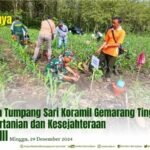 PROGRAM TUMPANG SARI KORAMIL GEMARANG TINGKATKAN HASIL PERTANIAN DAN KESEJAHTERAAN