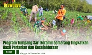 PROGRAM TUMPANG SARI KORAMIL GEMARANG TINGKATKAN HASIL PERTANIAN DAN KESEJAHTERAAN