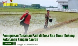 PEMUPUKAN TANAMAN PADI DI DESA BIRA TIMUR DUKUNG KETAHANAN PANGAN DAERAH