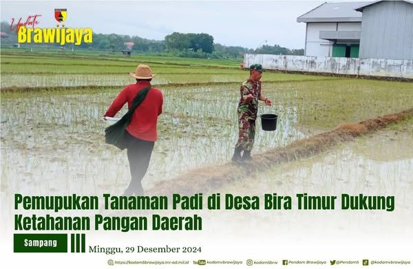 PEMUPUKAN TANAMAN PADI DI DESA BIRA TIMUR DUKUNG KETAHANAN PANGAN DAERAH