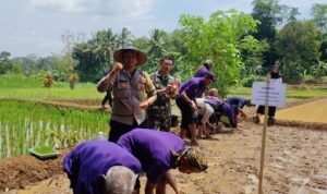 Polri Dukung Ketahanan Pangan Bhabinkamtibmas Sambangi Kelompok Tani Logodor Dalka