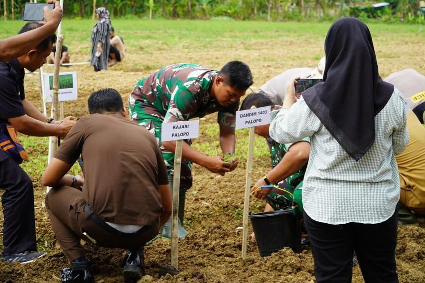 Dukung Program Asta Presiden Prabowo Subianto Kodim 1403/Palopo Manfaat Lahan Kosong Menjadi Ketahanan Pangan