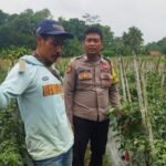 Jaga Harkamtibmas Kondusif, Polsek Cihaurbeuti Cooling System ke Masyarakat Desa Cijulang