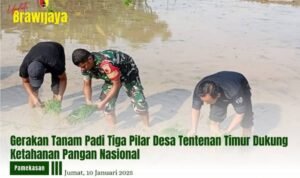 GERAKAN TANAM PADI TIGA PILAR DESA TENTENAN TIMUR DUKUNG KETAHANAN PANGAN NASIONAL