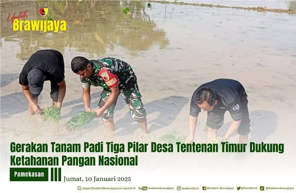 GERAKAN TANAM PADI TIGA PILAR DESA TENTENAN TIMUR DUKUNG KETAHANAN PANGAN NASIONAL