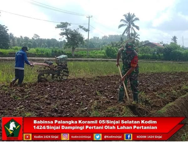 Babinsa Palangka Koramil 05/Sinjai Selatan Kodim 1424/Sinjai Dampingi Petani Olah Lahan Pertanian